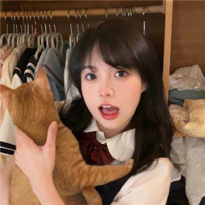 狗狗与你的故事